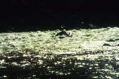 G Canyon 1991-131a