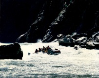 GC-016