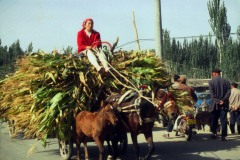 China 2000-119a