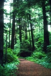 Alaska 1991-324a