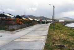 Ant 1994-418a