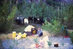 Big Bend 1988-037a