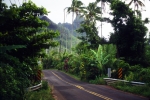Hawaii 1994-121a