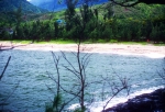Hawaii 1994-168a