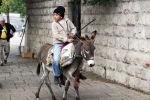 IMG_0398a