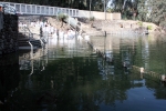 IMG_0322a