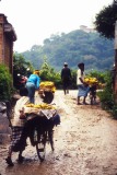 Nepal 1992-110a
