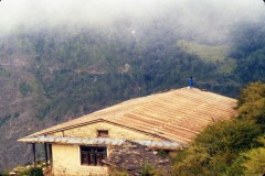 Nepal 1992-183a
