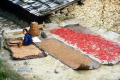 Nepal-1992-216b