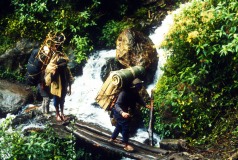Nepal-1992-241a