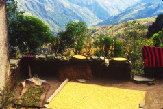 Nepal 1992-527a