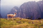 Peru 1996-351