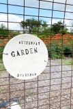 Butterfly-Garden-5